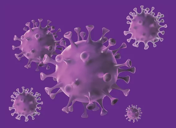 Otago-Innovation-Amaroq-success-story-cancer-cells