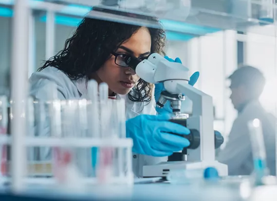 Otago-Innovation-Amaroq-success-story-laboratory