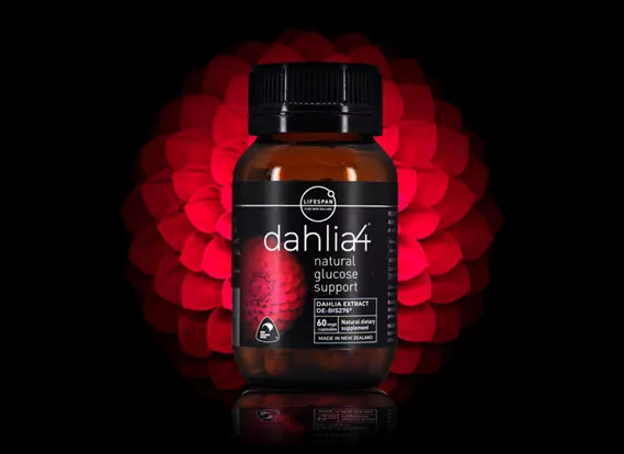 Success-Story-Dahlia4-extract