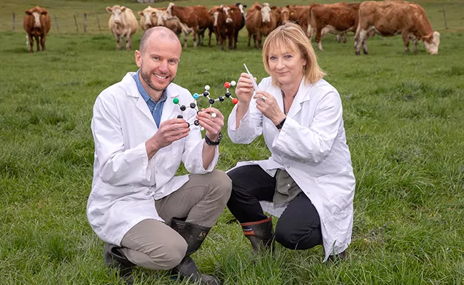 Dr Allan Gamble and Professor Sarah Hook have won the 2020 Proof of Concept Grant.